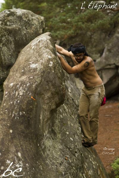 "Orange Circuit" (17)